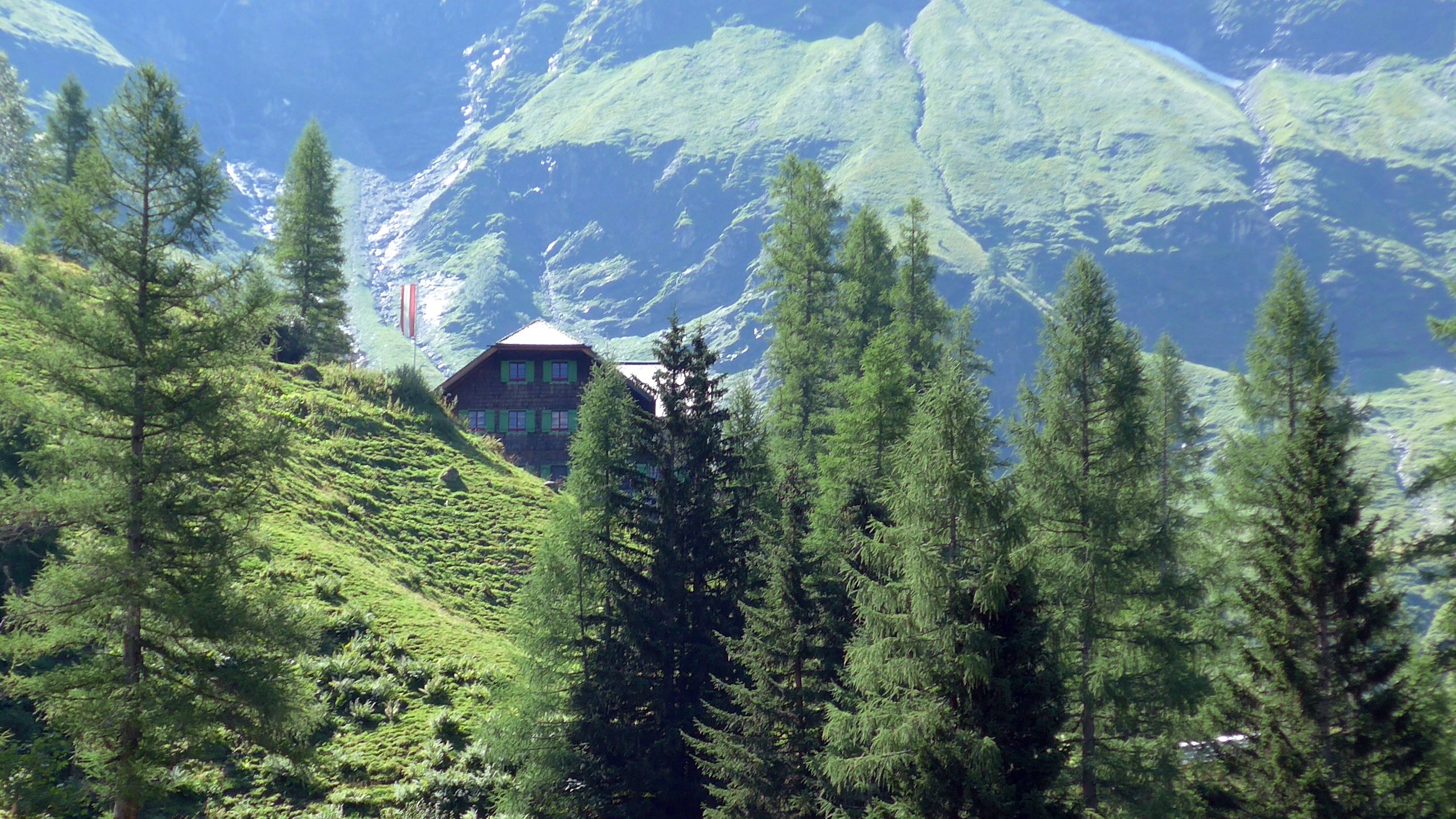 Trauneralm