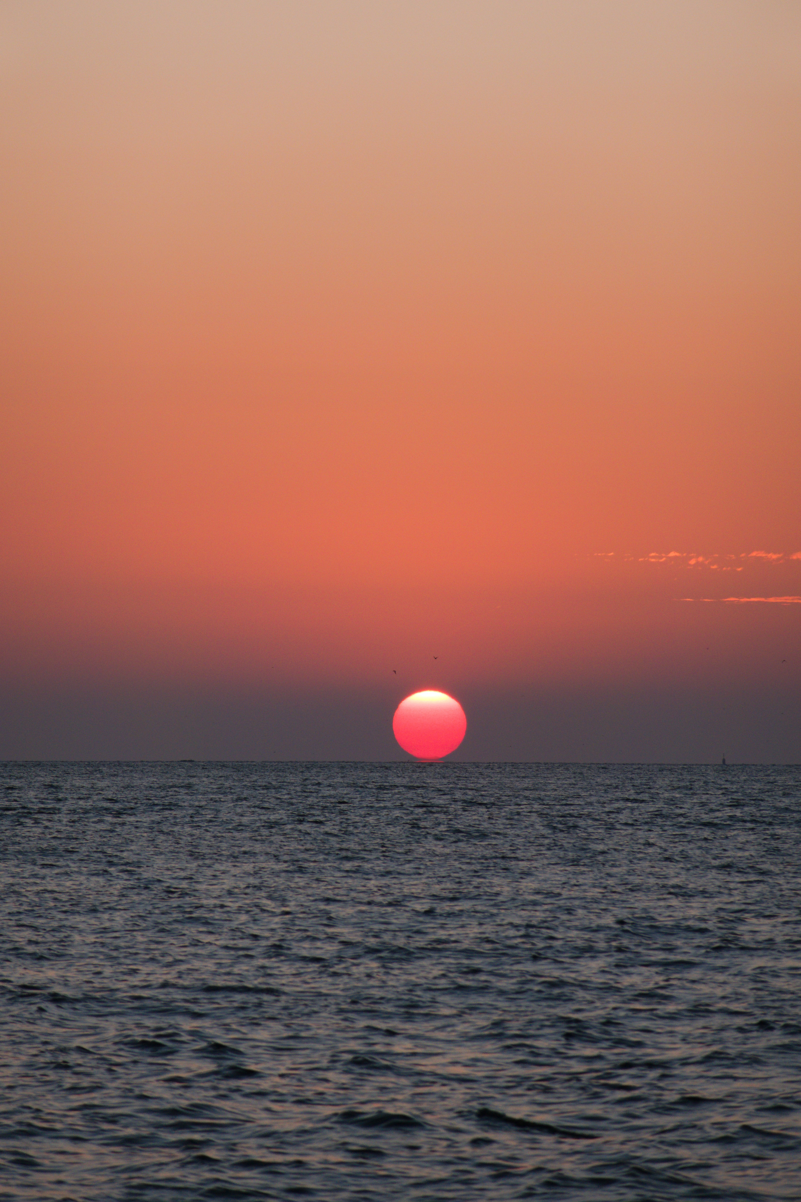 Sonnenaufgang im Marsdiep