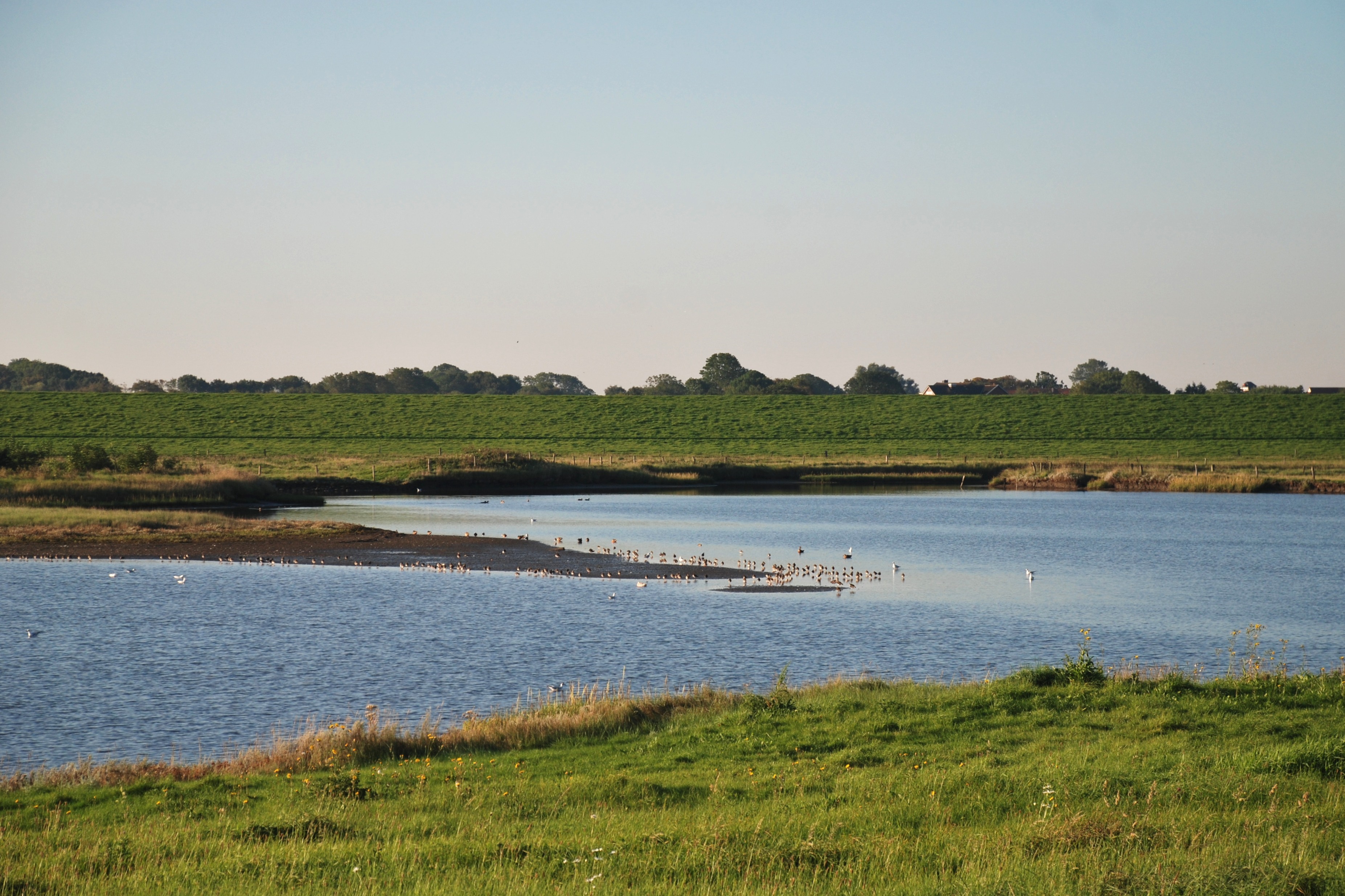 Brackwasser