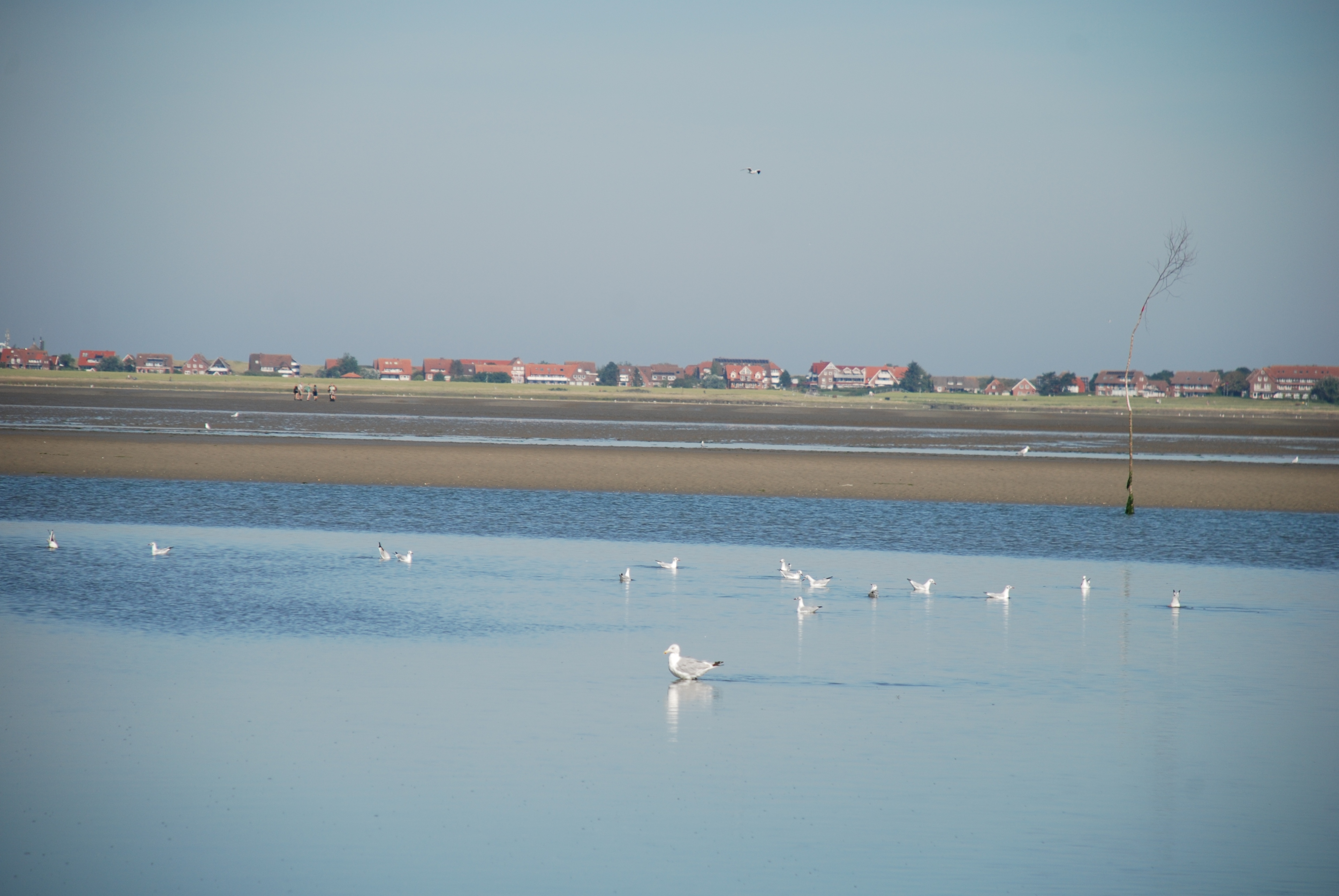 Wattwanderung Baltrum